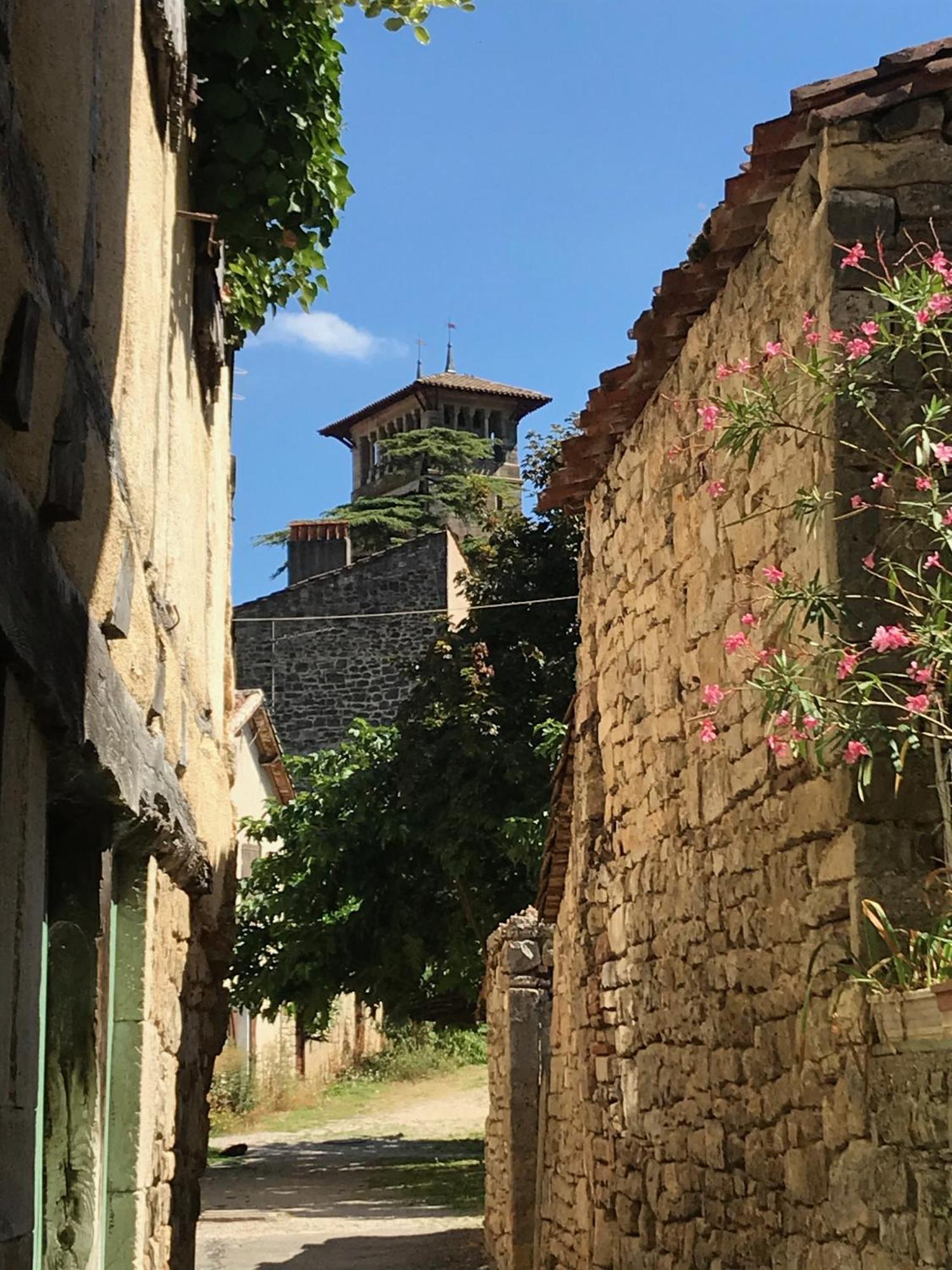 Gite La Bergerie En Bord D'Aveyron Apartment Saint-Antonin-Noble-Val Exterior photo